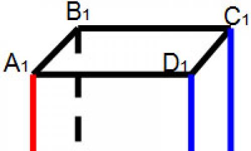 Poziția relativă a liniilor în spațiu, prezentare pentru o lecție de geometrie (clasa 10) pe tema